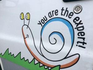 yourtheexpert